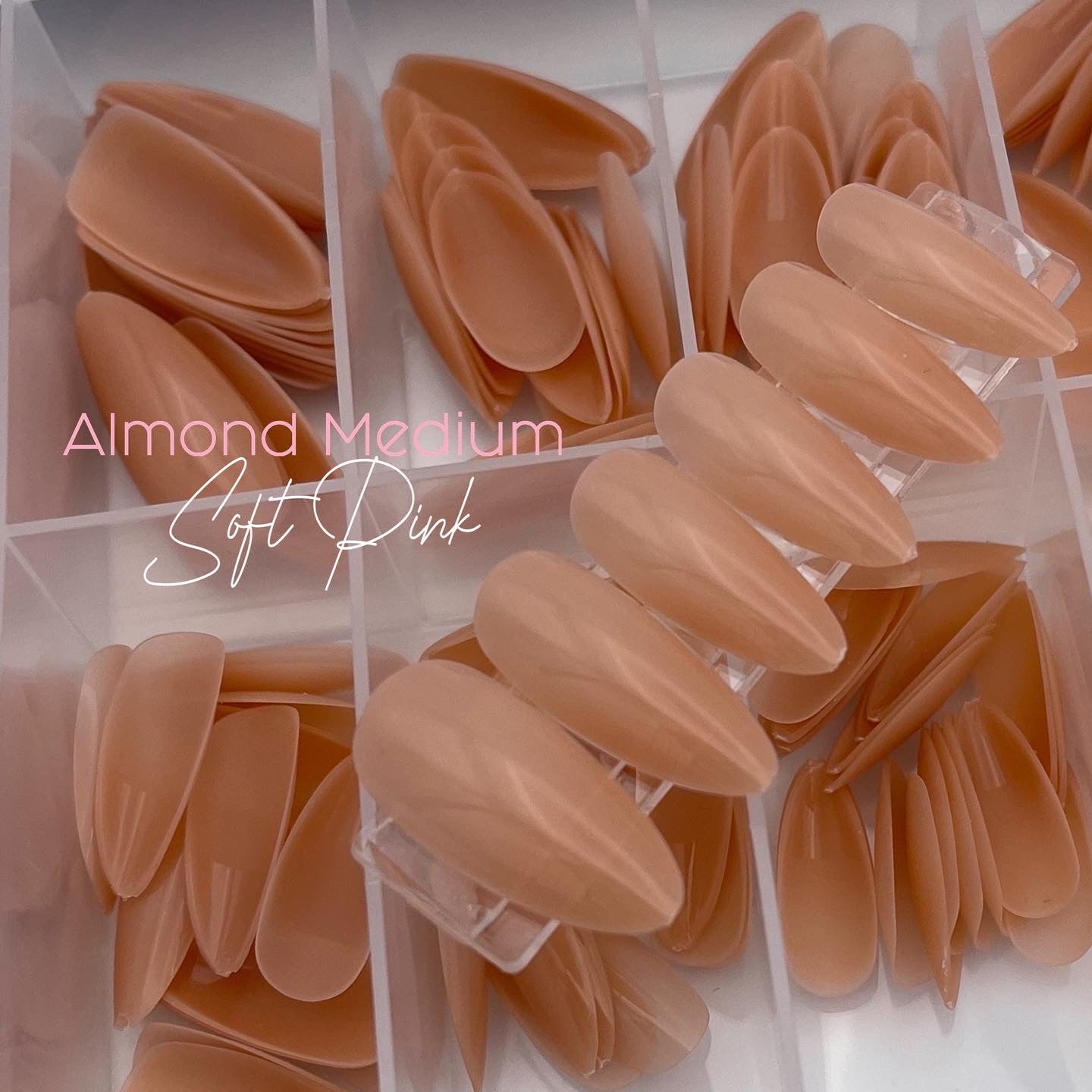 Almond Medium Box - Soft Pink